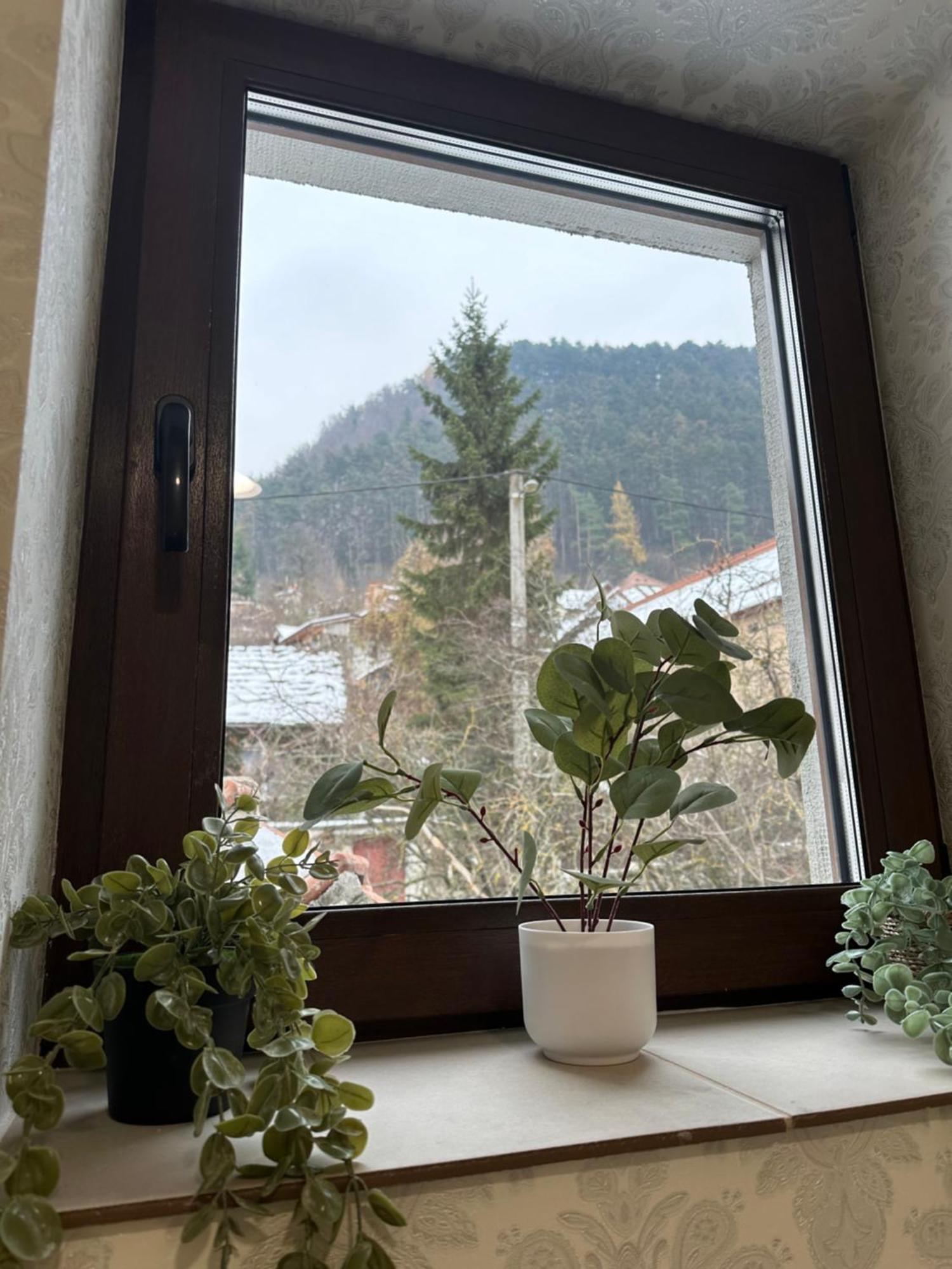 Ferienwohnung Schei House Brașov Exterior foto